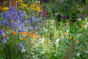 Planting Design with Nick Bailey