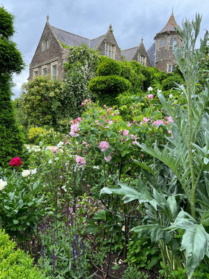 Spring Garden Tour - Hanham Court and Special Plants