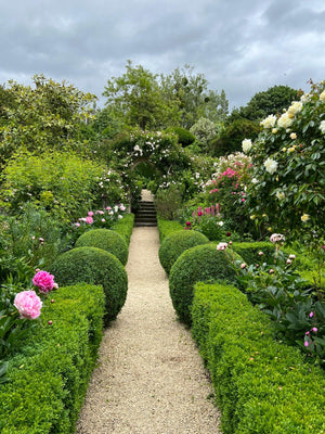 Spring Garden Tour - Hanham Court and Special Plants