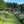 Summer Garden Tour - High Glanau Manor & Mounton House Gardens