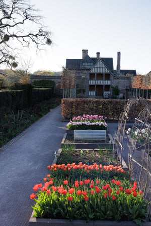 Summer Garden Tour - High Glanau Manor & Mounton House Gardens