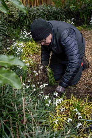Advanced Practical Horticulture