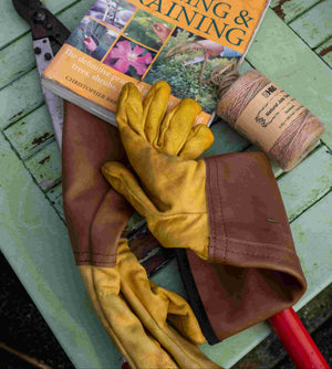 Certificate in Caring for Your Garden