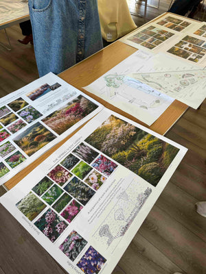 Essential Garden Design Diploma