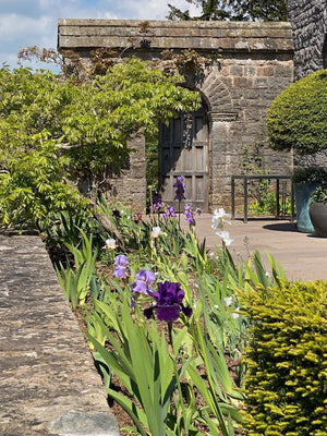 Summer Garden Tour - High Glanau Manor & Mounton House Gardens