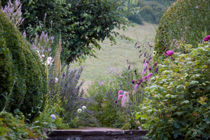 Summer Garden Tour - High Glanau Manor & Mounton House Gardens