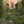 Summer Garden Tour - High Glanau Manor & Mounton House Gardens