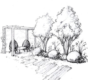 Sketching for Garden Design - Beginner