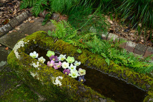 Good Gardening Diploma